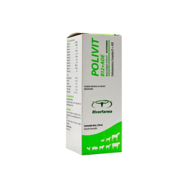 POLIVIT B12+ADE 250 ML.