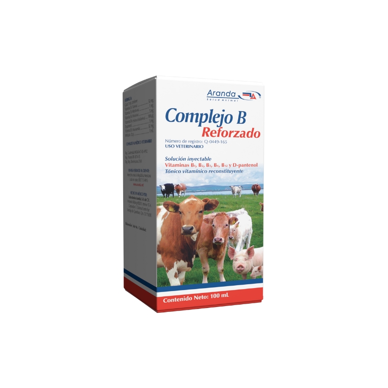 COMPLEJO B REFORZADO 100 ML.