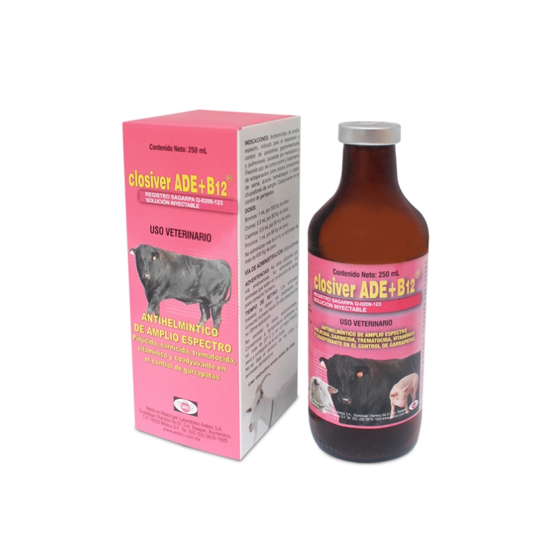 CLOSIVER ADE + B12 250 ML.
